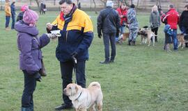 Šuniukų Kalėdų šventė