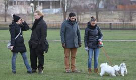 Šuniukų Kalėdų šventė