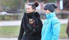 Šuniukų Kalėdų šventė