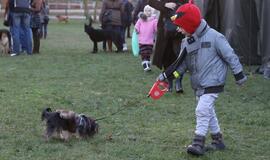 Šuniukų Kalėdų šventė