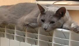 PVM lengvata šildymui pratęsta iki liepos