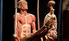 Kaune - žmogaus kūnų paroda "Body Worlds Vital“