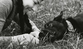 Laimingos istorijos:  bjaurieji ančiukai, tapę gulbėmis