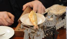 Stintų šventėje niekas neliks be laimikio