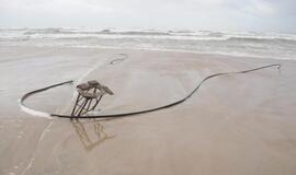 Audros padariniai Klaipėdoje