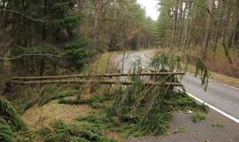 Audros padariniai Klaipėdoje