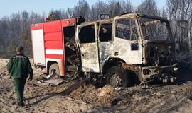 Kuršių nerijos miškai pereis į miškininkų rankas