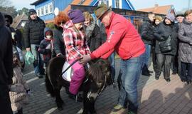 "Stintapūkio" šventė