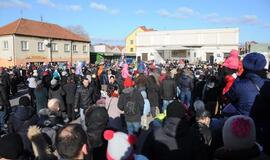 Užgavėnės Klaipėdoje (2015)