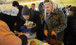 Užgavėnės Klaipėdoje (2015)