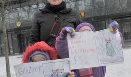 Prie Norvegijos ambasados lietuviai reikalavo grąžinti vaiką