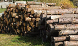 Mūšis dėl lietuviškos medienos: iškeliauja į užsienį, o baldų gaminti nėra iš ko