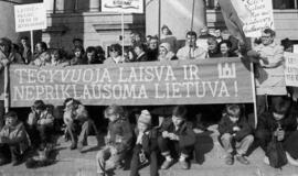 Nepriklausomos Lietuvos karta: "Mažą šalį galime padaryti didžią"