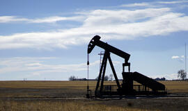 OPEC: pasaulinės naftos gavybos augimas kenkia skalūnų naftos gavybai JAV
