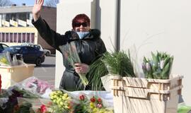 Prekyba tulpėmis kovo 8-ąją