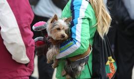 Gintaro kelias Palanga - Šventoji 2015