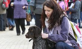 Gintaro kelias Palanga - Šventoji 2015