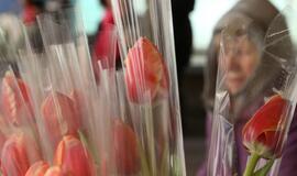 Prekyba tulpėmis kovo 8-ąją