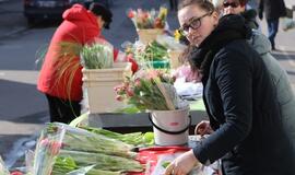 Prekyba tulpėmis kovo 8-ąją