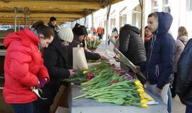 Prekyba tulpėmis kovo 8-ąją