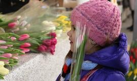Prekyba tulpėmis kovo 8-ąją