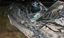 Vilniuje žuvo su briedžiu susidūrusio automobilio vairuotojas