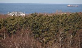 Girulių miške: sumušė, atėmė gėrimus, eurus, telefonus