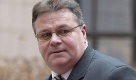 Linas Linkevičius: santykiai su Brazilija įgauna pagreitį