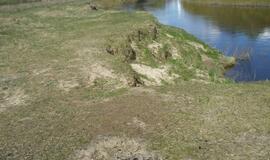 Gargžduose jaunimas žymėjo užterštas vietas