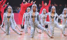 "Žuvėdros" atsisveikinimo pasirodymas