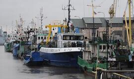 Ar Seimas perėmė tiesioginį žuvininkystės valdymą?