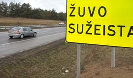 Per savaitę šalies keliuose žuvo 7 žmonės