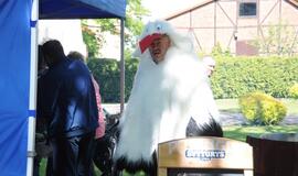 Vestuvių muzikantų festivalis