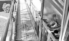 Renovacijos dienoraštis (2)