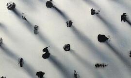 Baroti galerijoje - paroda &quot;Maži. Dideli. Dalykai.&quot;