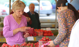 Braškių kainų lenktynės įgauna pagreitį