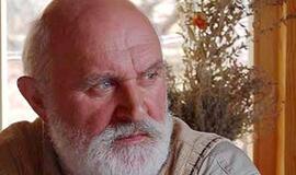 Kas mūsų kalbą stumia į duobę