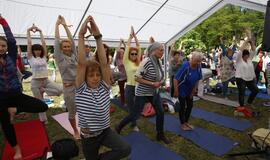 Tarptautinė jogos diena