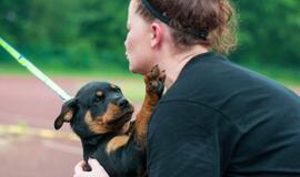 Šilutėje vyko pirmasis Lietuvoje "zorbing" futbolo čempionatas