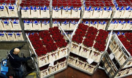 Po VMI vizito į gėlių sandėlius - išaugę mokėtini mokesčiai
