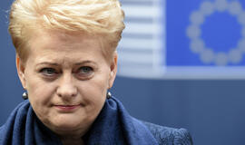 Dalia Grybauskaitė kritikuoja bandymą gelbėti LJL