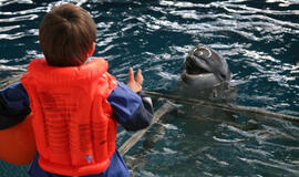 Delfinų terapijos centre - naujos metodikos