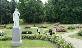 Palangos Birutės parko rožynas džiugina žiedais