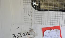 Akcija prieš prekybą žmonėmis