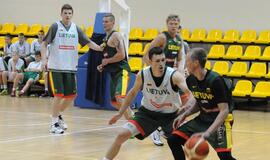 Rinktinės kandidatams - Jono Kazlausko pastabos