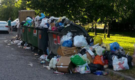 Valdininkai davė pylos tvarkdariams