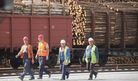 VMI tikrins medieną parduodančius gyventojus ir įmones