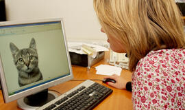 Daugiau nei pusė Rusijos gyventojų sutiktų, kad jiems išjungtų internetą