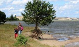 Į Kuršių neriją sugrįžta medkirčiai