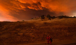 JAV: dėl miško gaisrų Kalifornijoje evakuota apie 12 tūkstančių žmonių